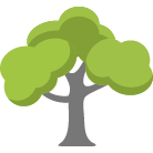 Niceville Tree Removal