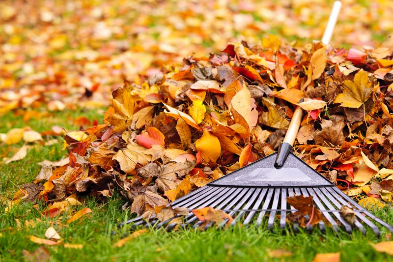Yard Maintenance