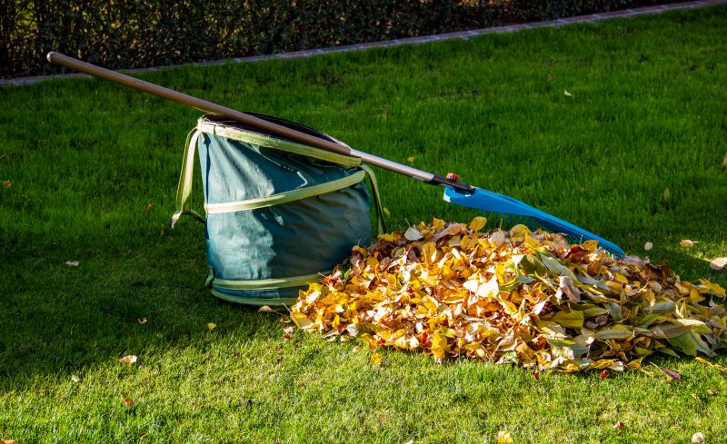 Leaf Collection