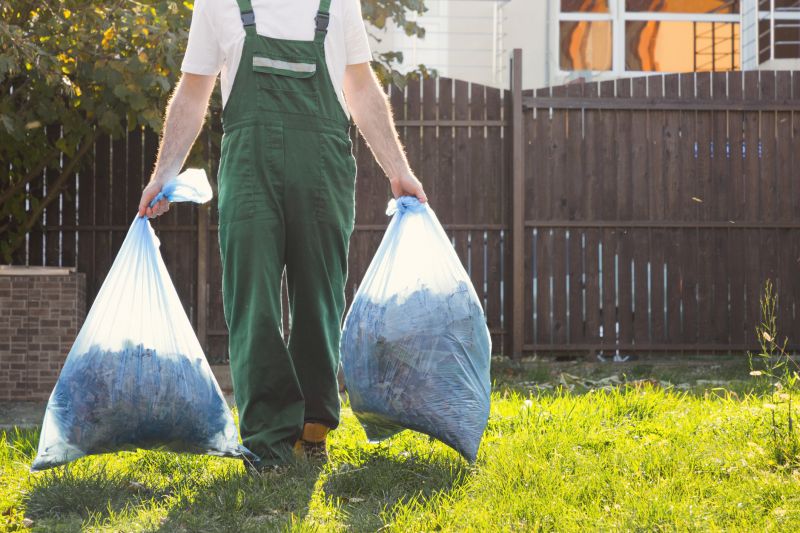 Clearing Debris from a Driveway