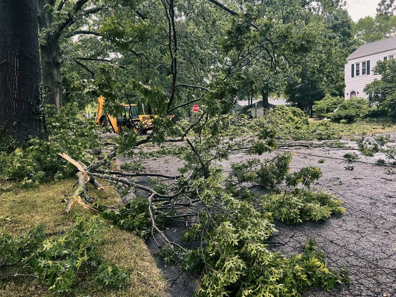 Post-removal Cleanup