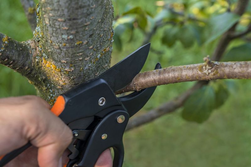 Tree Pruning and Maintenance