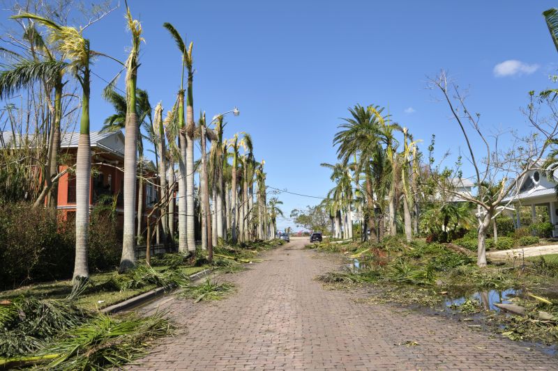 Debris Cleanup