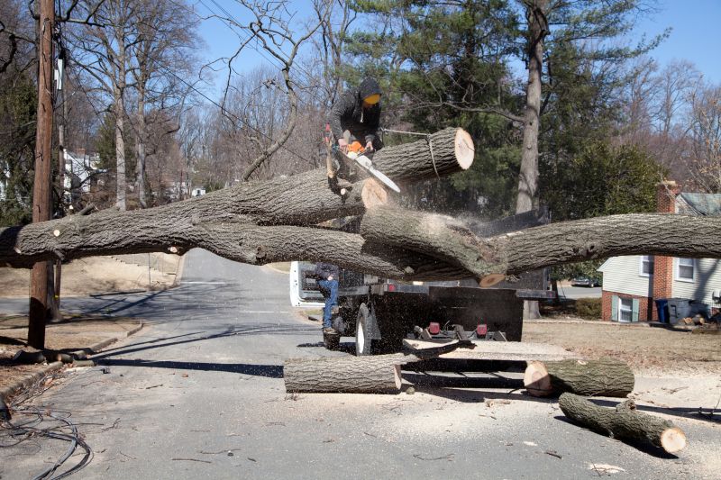 Storm Damage Readiness
